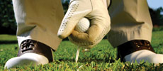 Tee Off
